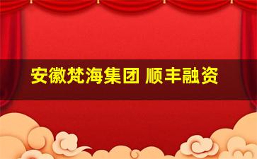 安徽梵海集团 顺丰融资